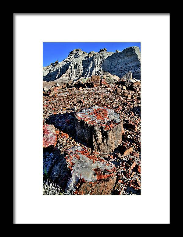 Petrified Forest National Park Framed Print featuring the photograph Beautiful Stumps of Petrified Wood in Jasper Forest by Ray Mathis