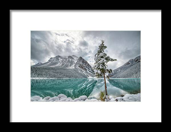 Mountains Framed Print featuring the photograph Beauty of a Single Tree by Denise LeBleu