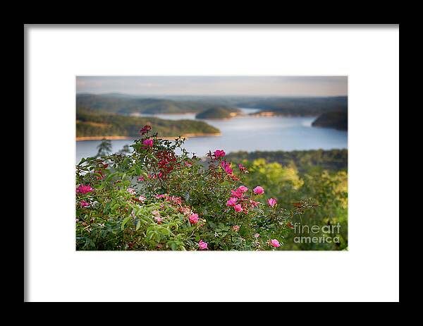 Nature Framed Print featuring the photograph Beaver Lake Lookout by Douglas Barnard