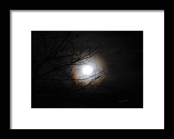 Moon Framed Print featuring the photograph Beaver Moon by Vallee Johnson