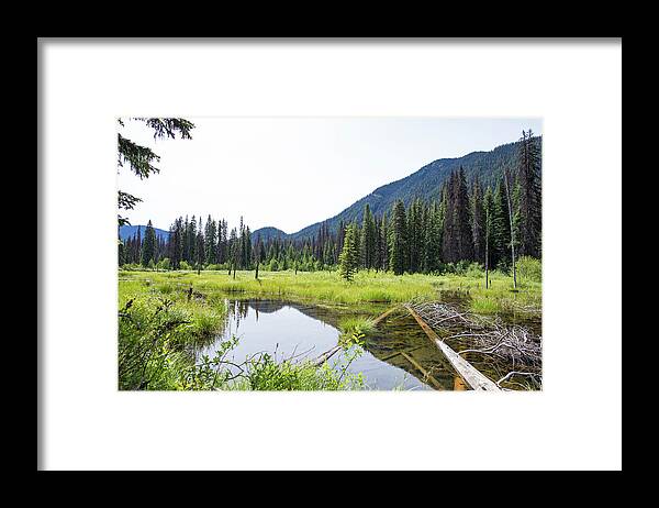Water Framed Print featuring the photograph Beaver Pond Wetlands At E.c. Manning Provincial Park by Cavan Images