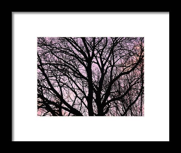 Nik Watt Framed Print featuring the photograph Bedroom Tree 3 by Nik Watt