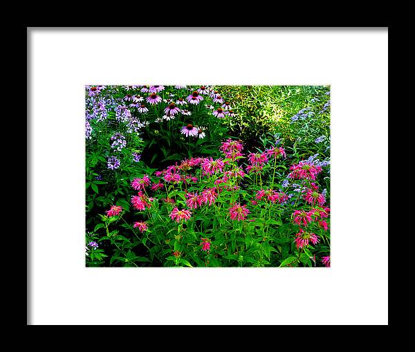 Bee Balm Framed Print featuring the photograph Bee Balm, Dark Edition by Mike McBrayer
