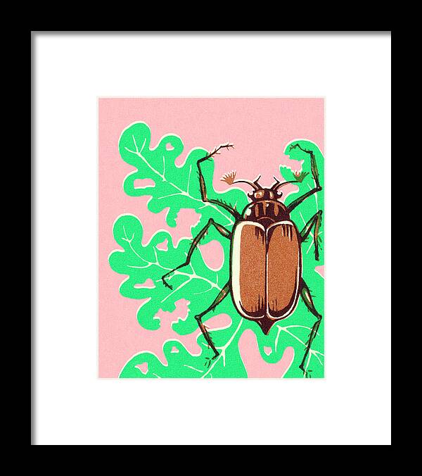 Animal Framed Print featuring the drawing Beetle on Leaf by CSA Images