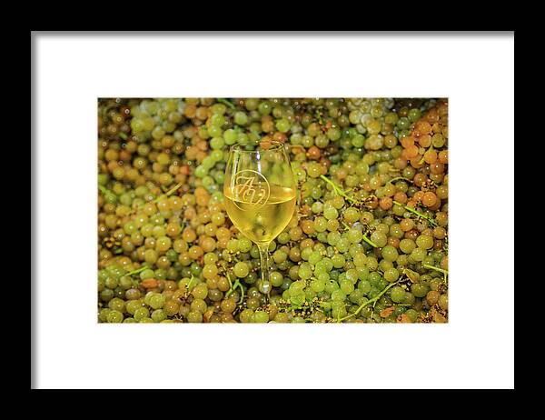 Grapes Framed Print featuring the photograph Before and After by Dale R Carlson