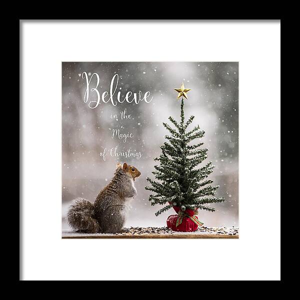 Believe In The Magic Of Christmas Squirrel Square Framed Print featuring the photograph Believe In the Magic of Christmas Squirrel Square by Terry DeLuco