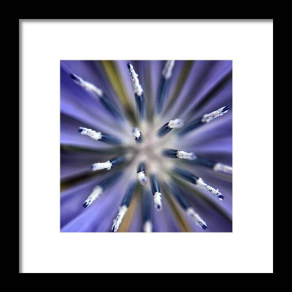 Extreme Closeup Framed Print featuring the photograph Bergamot Flower Closeup by Jori Reijonen