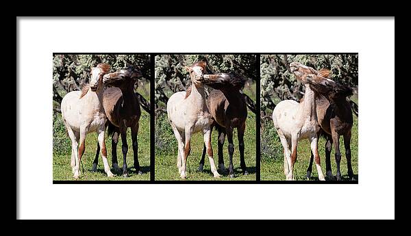 Wild Horses Framed Print featuring the photograph Best friends Forever by Mary Hone