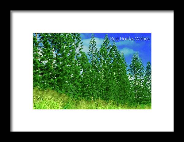 Best Holiday Wishes Framed Print featuring the photograph Best Holiday Evergreens In Hawaii by Debra Grace Addison
