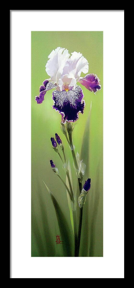 Russian Artists New Wave Framed Print featuring the painting Bi-colored Iris Flower by Alina Oseeva