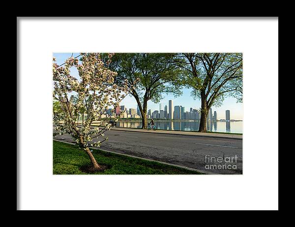 Chicago Framed Print featuring the photograph Bike Ride Down Solidarity by Jennifer White