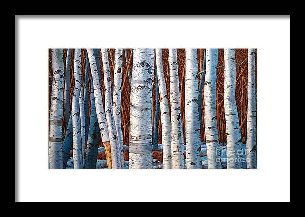 Birch Framed Print featuring the painting Birch Trees in early winter in painting by Christopher Shellhammer