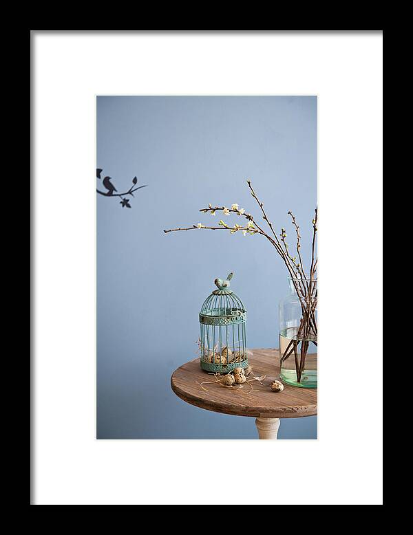 Birdcage Framed Print featuring the photograph Bird Cage by Studer-t. Veronika