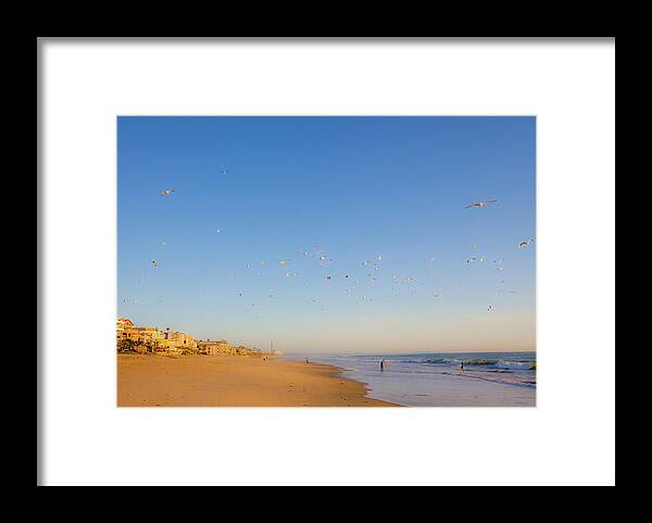 Carlsbad Village Beach Framed Print featuring the photograph 5 O'clock Bird Flight by Catherine Walters