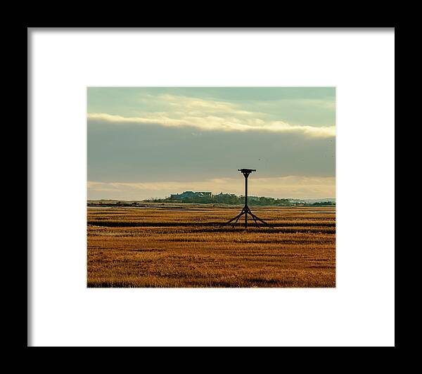 Marshland Framed Print featuring the photograph Bird Stand. by William Bretton