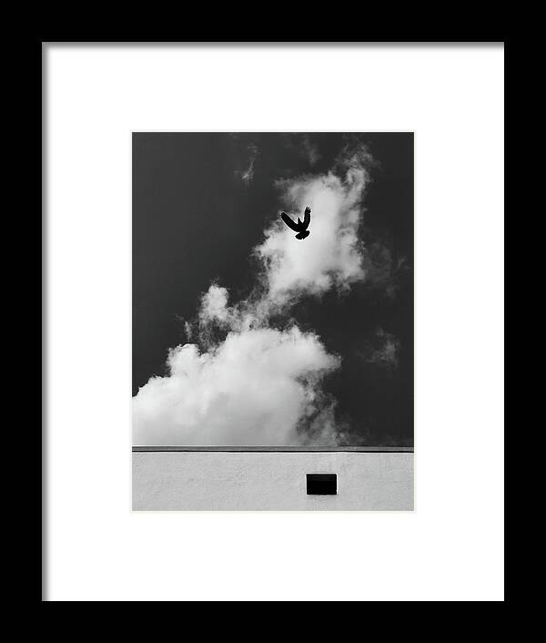 Minimalism Framed Print featuring the photograph Bird Vs Simple Geometry by Prakash Ghai