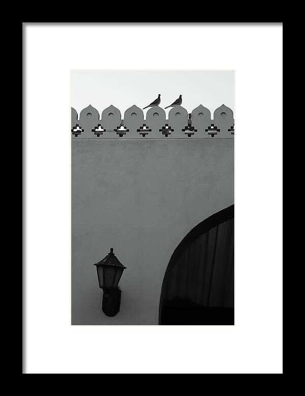 Black And White Framed Print featuring the photograph Birds and Patterned Side Rail Shot 2 by Prakash Ghai