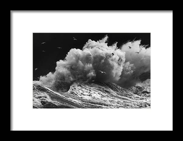 Sea Framed Print featuring the photograph Birds In The Storm (part 1) by Paolo Lazzarotti