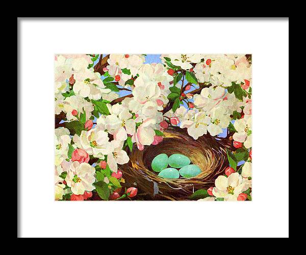Bloom Framed Print featuring the drawing Bird's Nest with Eggs in a Flowering Tree by CSA Images