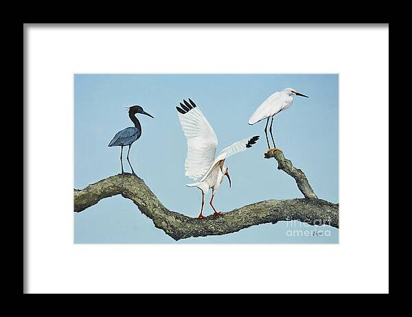 Original Painting Framed Print featuring the painting Birds Out on a Limb by Jimmie Bartlett