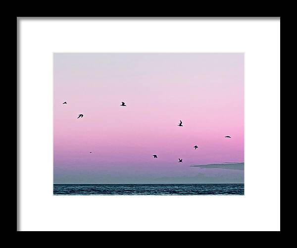 Birds Framed Print featuring the photograph Captive Island Sunset Seabirds Circling by Shelly Tschupp