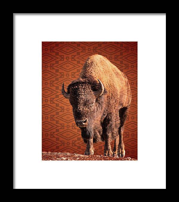 Bison Framed Print featuring the photograph Bison Blanket by Mary Hone