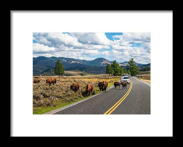 Estock Framed Print featuring the digital art Bison Grazing, Yellowstone Np, Wy by Towpix