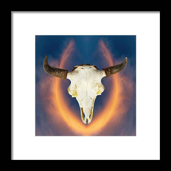 Kansas Framed Print featuring the photograph Bison Skull 001 by Rob Graham