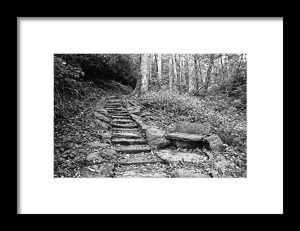 Black And White Framed Print featuring the photograph Black And White Stone Bench by Phil Perkins