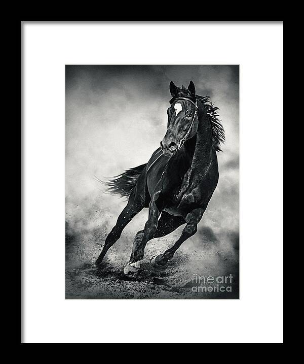 Horse Framed Print featuring the photograph Black Horse Running Wild Black and White by Dimitar Hristov