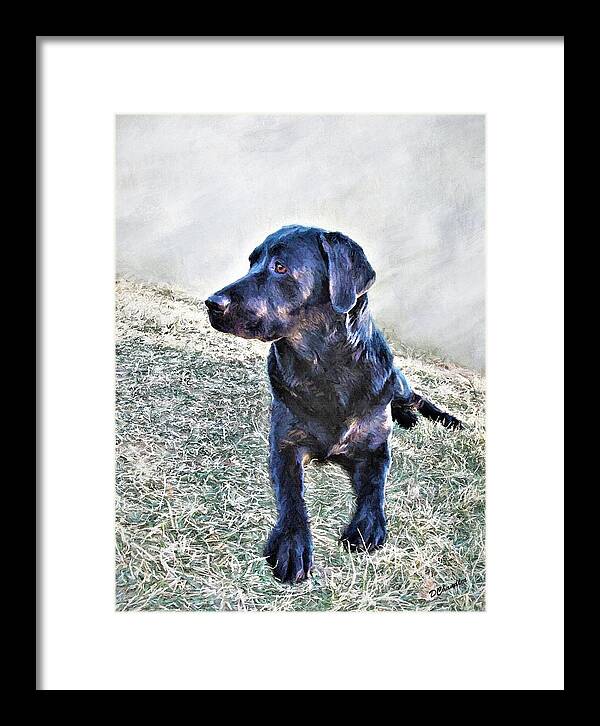 Dog Framed Print featuring the painting Black Labrador Retriever - Daisy by Diane Chandler