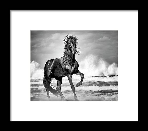 Black Horse Framed Print featuring the photograph Black Stallion On Beach by Gigi Ebert