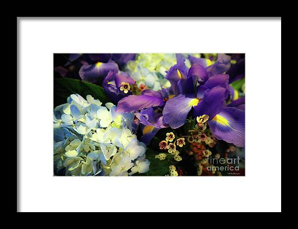 Flowers Framed Print featuring the photograph Bloom of Color by Veronica Batterson