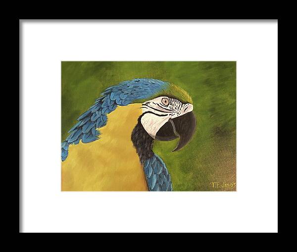 Bird Framed Print featuring the painting Blue and Gold Mccaw by Thomas Janos