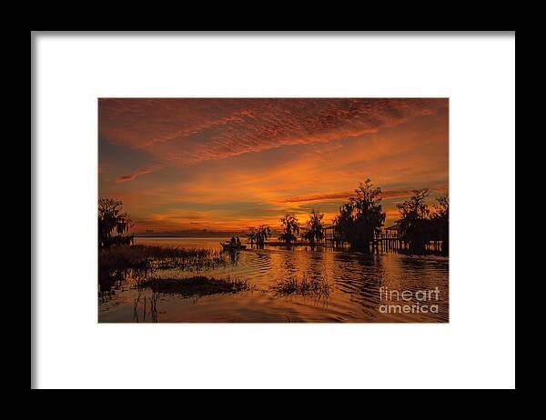 Sun Framed Print featuring the photograph Blue Cypress Sunrise with Boat by Tom Claud