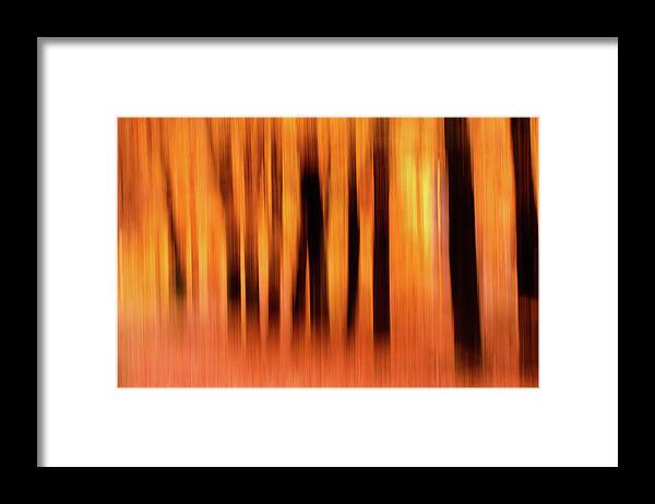 Autumn Framed Print featuring the photograph Blurred Lines - Autumn Impressions by Roeselien Raimond