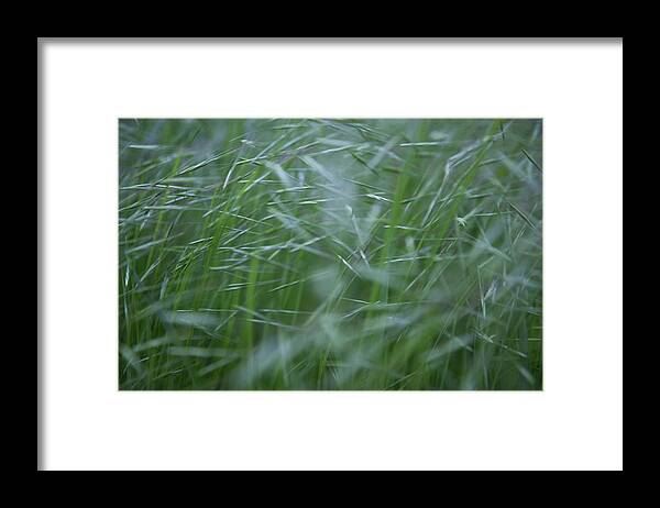 Abstract Framed Print featuring the photograph Blurry Wheat by Maria Heyens