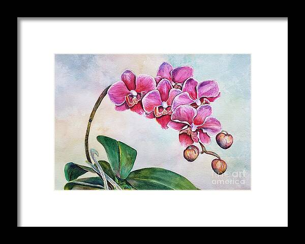 Orchid Framed Print featuring the painting Blushing Beauties by Lisa Debaets