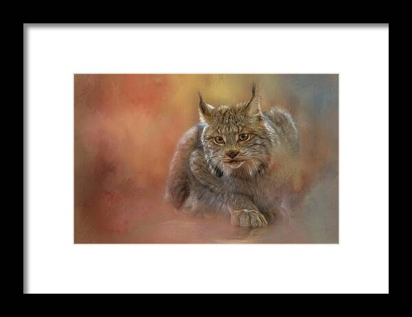 Bobcat Framed Print featuring the painting Bobcat Pounce by Jeanette Mahoney