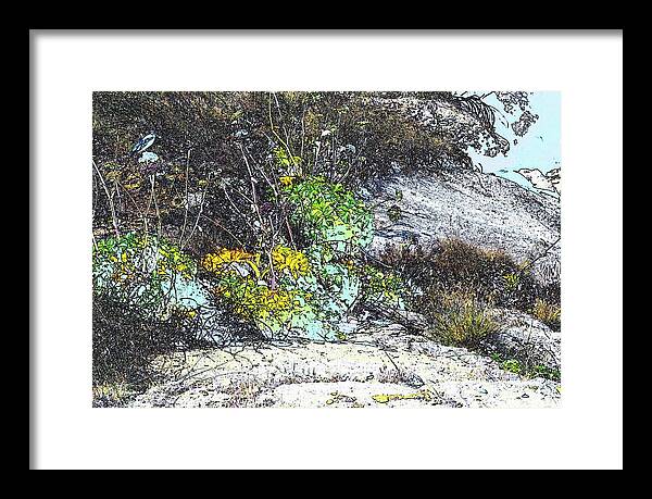 Boiler Framed Print featuring the photograph Boiler Bay Foliage by Jerry Sodorff