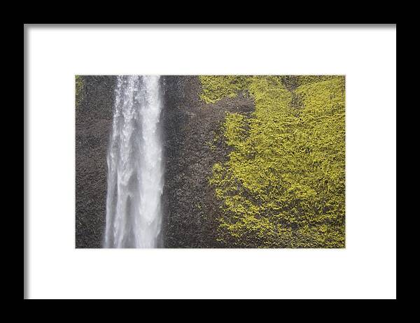 Bold Latourell Framed Print featuring the photograph Bold Latourell by Dylan Punke