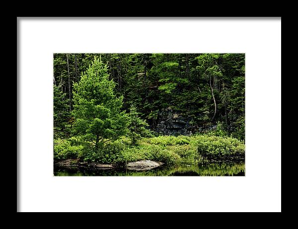 Silence Framed Print featuring the photograph Boreal Forest by Mmeemil
