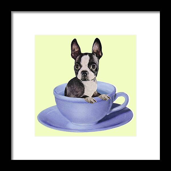 Animal Framed Print featuring the drawing Boston Terrier in a Coffee Cup by CSA Images
