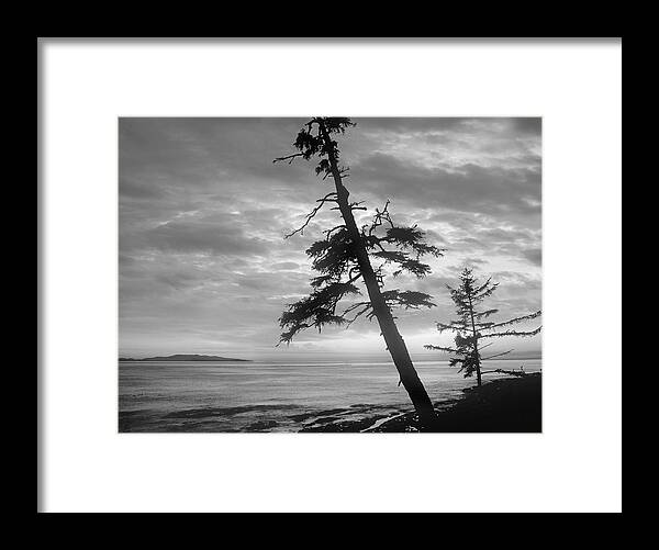 Disk1215 Framed Print featuring the photograph Botanical Beach Vancouver by Tim Fitzharris