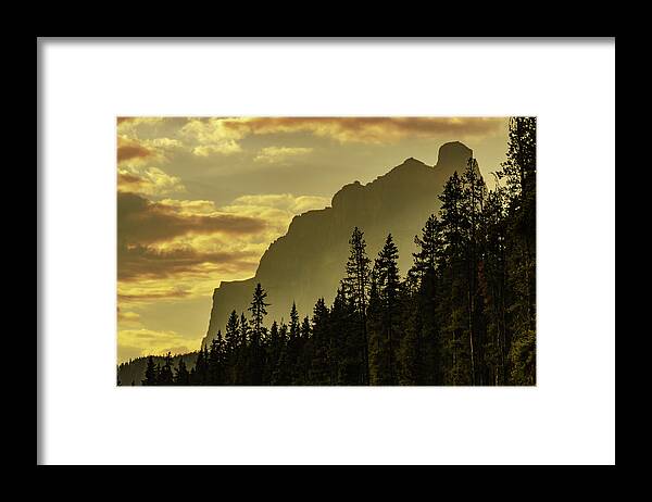Canada Framed Print featuring the photograph Bow Valley View by Douglas Wielfaert