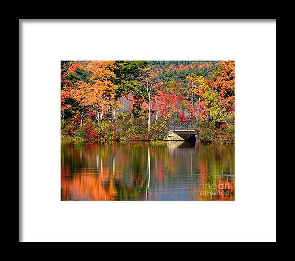New Hampshire Framed Print featuring the photograph Bridge at Lake Chocorua by Steve Brown
