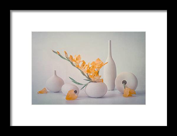 Gladiolus Framed Print featuring the photograph Bright Gladiolus by Lydia Jacobs