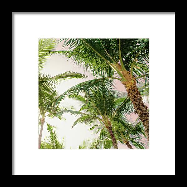 Bright Framed Print featuring the photograph Bright Oahu Palms I by Bill Carson Photography