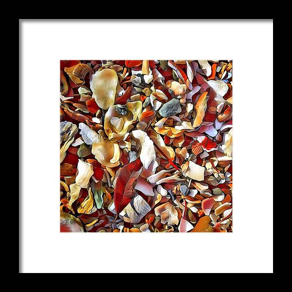 Abstract Framed Print featuring the photograph Broken Seashell Abstract by Jerry Abbott