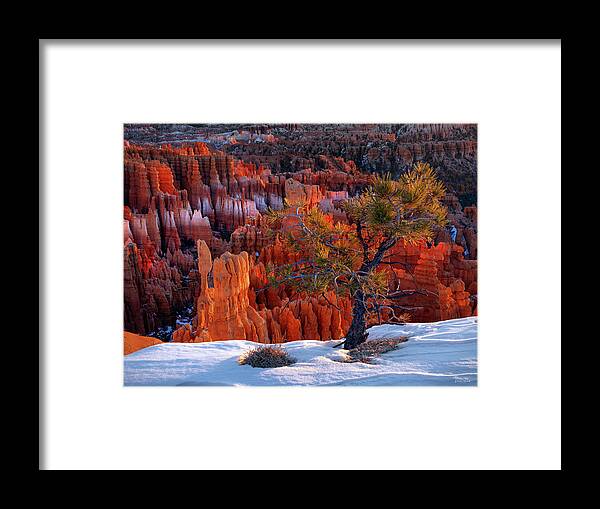 Balance Framed Print featuring the photograph Bryce Canyon Winter Light Utah by Leland D Howard